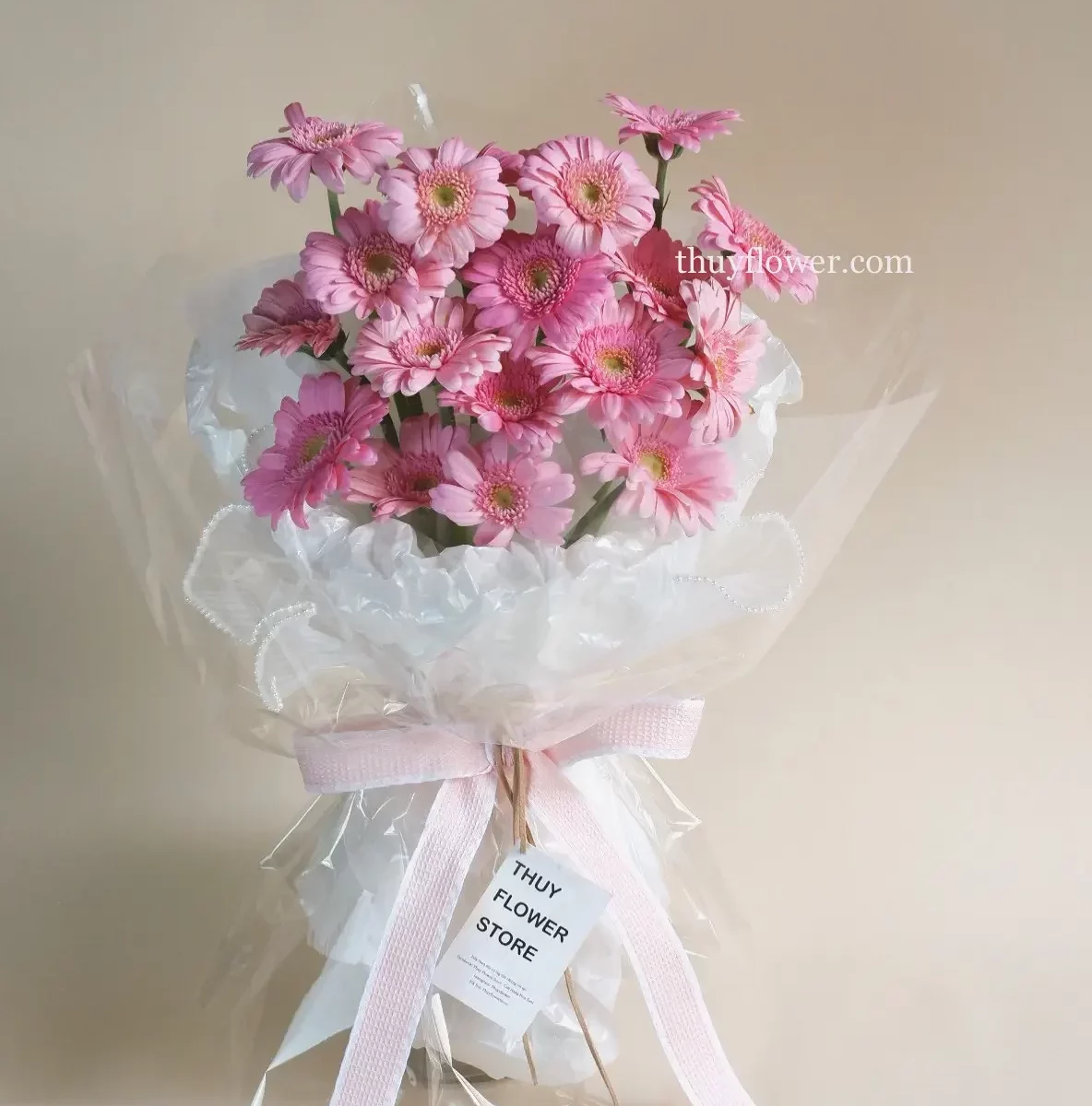 BH60 Bó hoa đồng tiền hồng