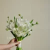 HC16 Bó hoa cưới tulip trắng