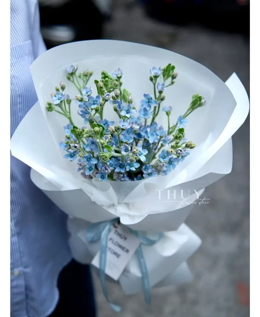 Bó hoa nhỏ hoa sao xanh
