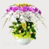 Chậu lan hồ điệp mix 3 màu tặng sinh nhật sếp