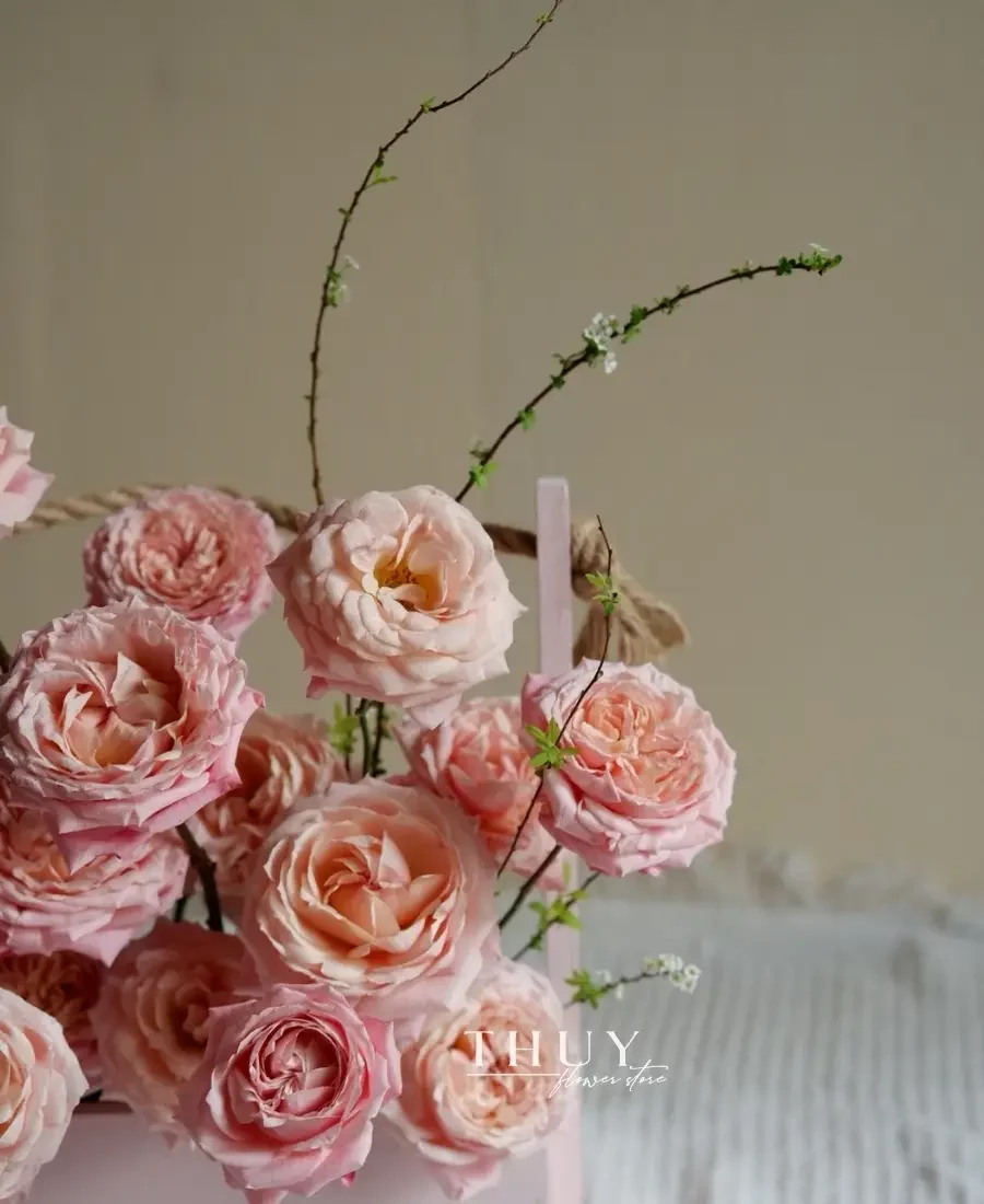 Giỏ hoa hồng julietta đẹp thơ mộng