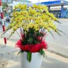 HĐ04 Chậu lan hồ điệp thần tài 25 cành