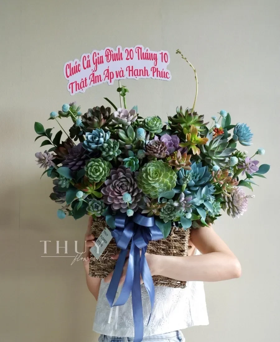 Lẵng hoa sen đá tặng 20 tháng 10