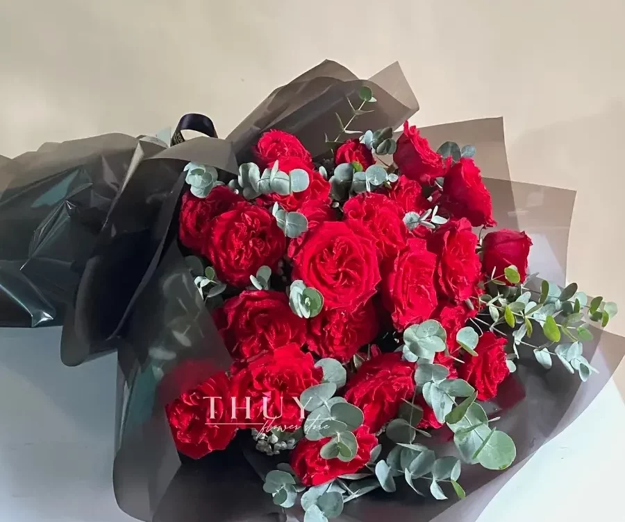 hoa hồng ohara đỏ nở đỏ thắm